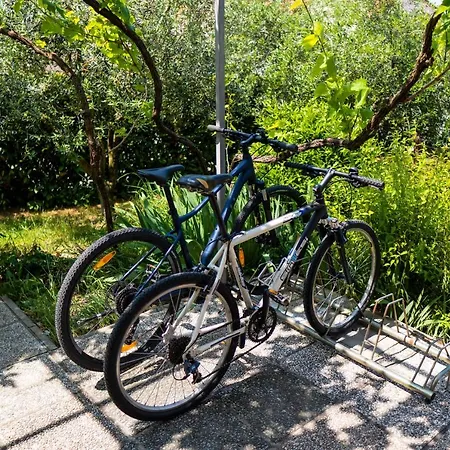 Dani Appartement Izola